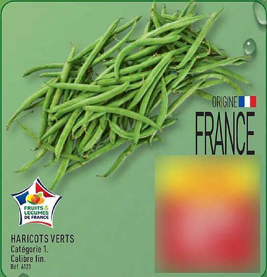 HARICOTS VERTS