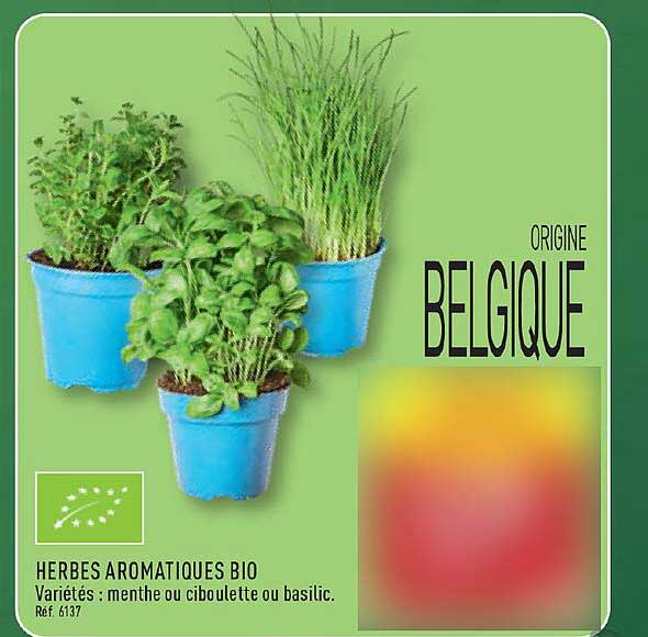 HERBES AROMATIQUES BIO