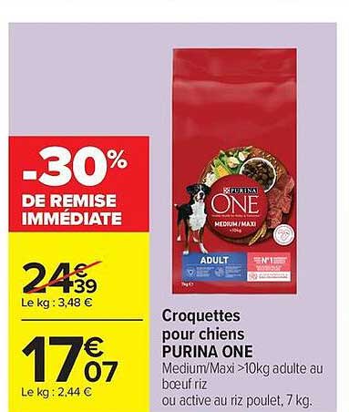 PURINA ONE Croquettes pour chiens