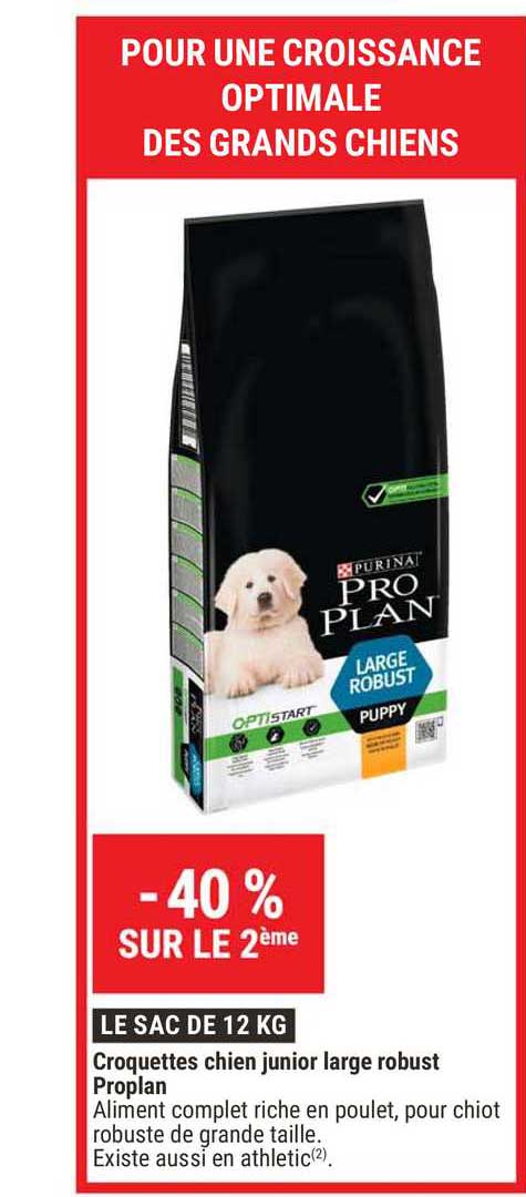 croquettes chien junior large robust proplan