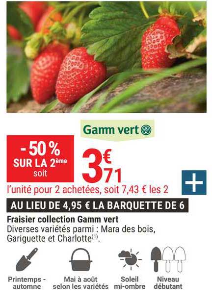fraisier collection gamm vert -50% sur la 2ème
