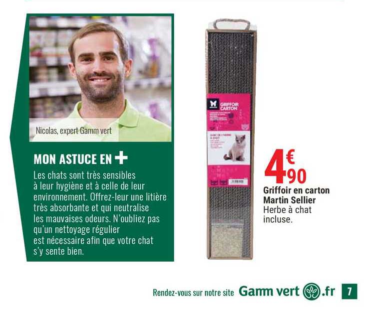 Griffoir En Carton Martin Sellier