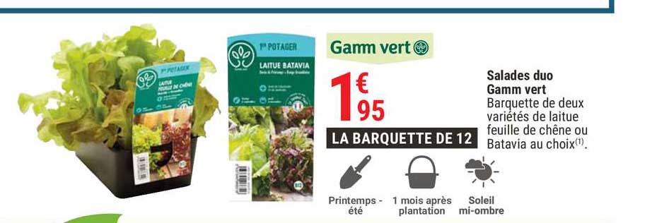salades duo gamm vert