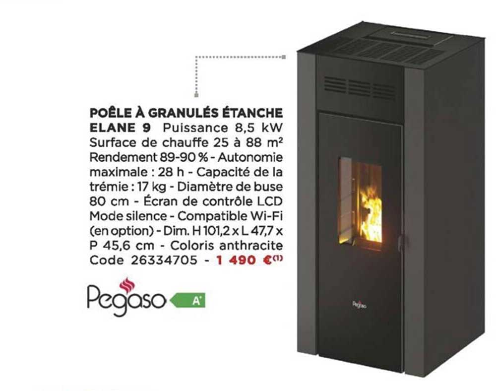 poêle à granulés étache élane 9 pegaso