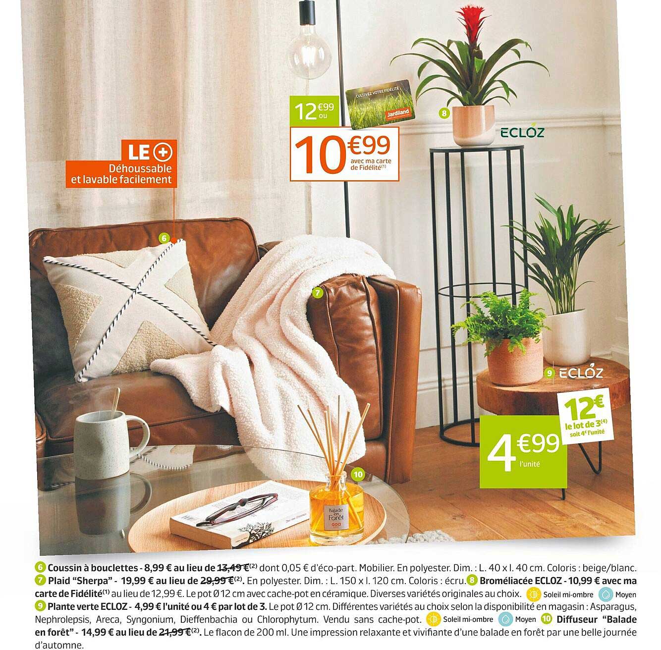 coussin à bouclettes, plaid "sherpa", broméliacée ecloz, plante verte ecloz, diffuseur "balade en forêt"