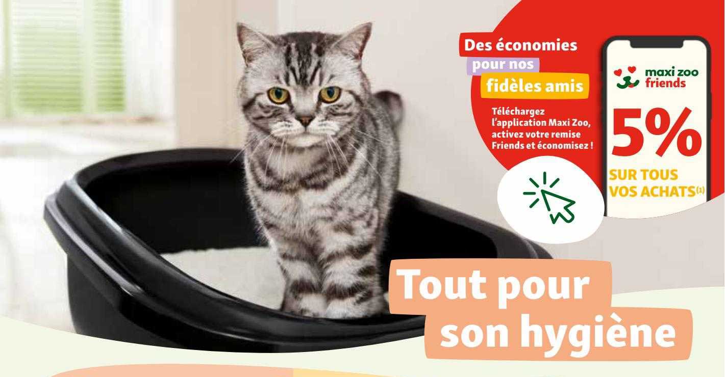 Son Hygiène