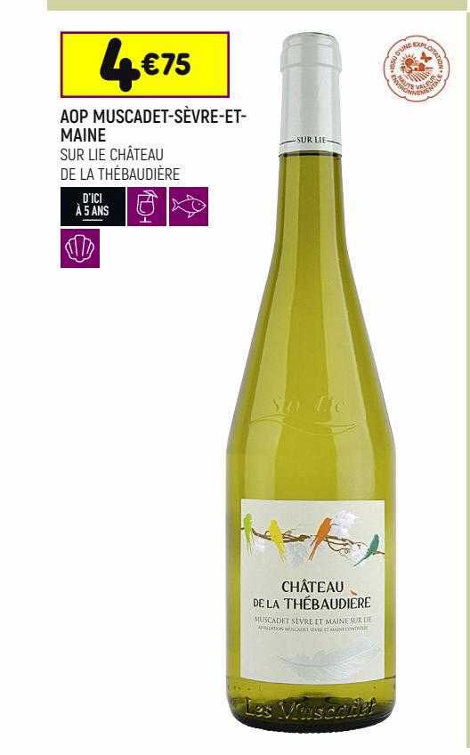 aop muscadet-sèvre-et-maine sur lie château de la thébaudière