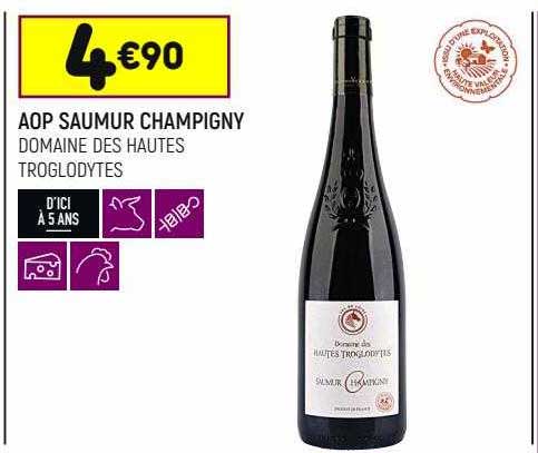 aop saumur champigny domaine des hautes troglodytes