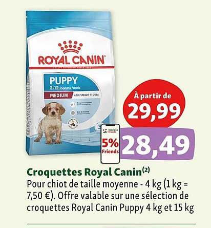 croquettes royal canin