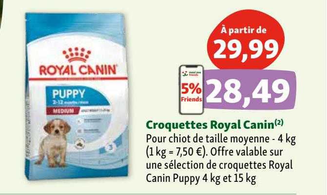 croquettes royal canin