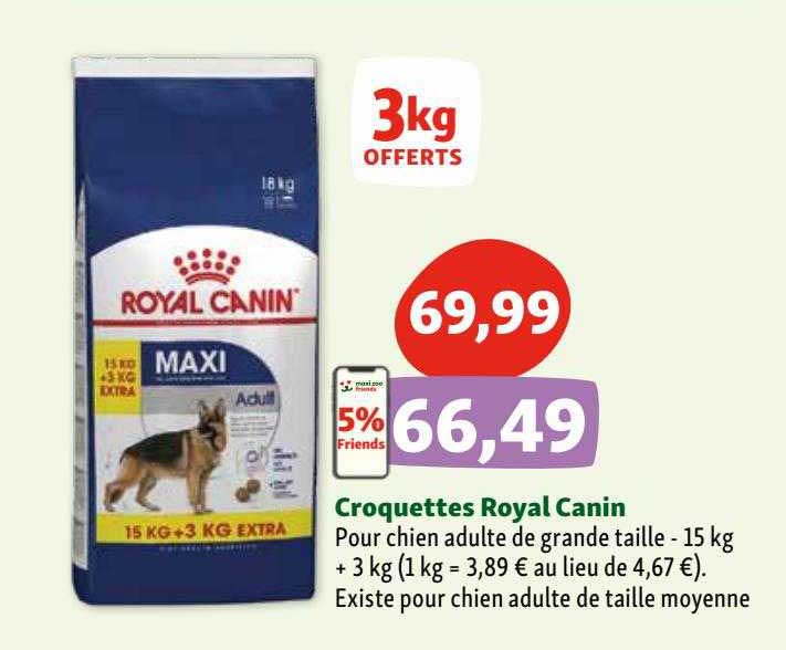 croquettes royal canin