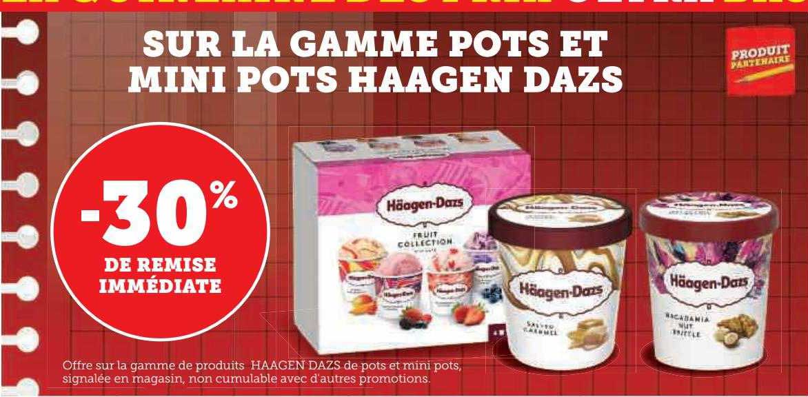 La Gamme Pots Et Mini Pots Häagen Dazs
