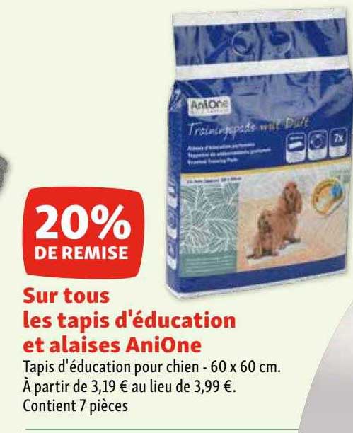 les tapis d'éducation et alaises aniOne
