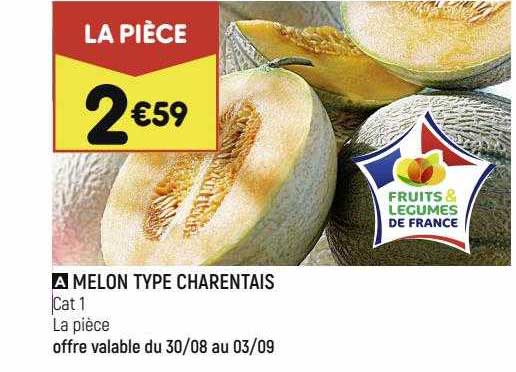 melon type charentais