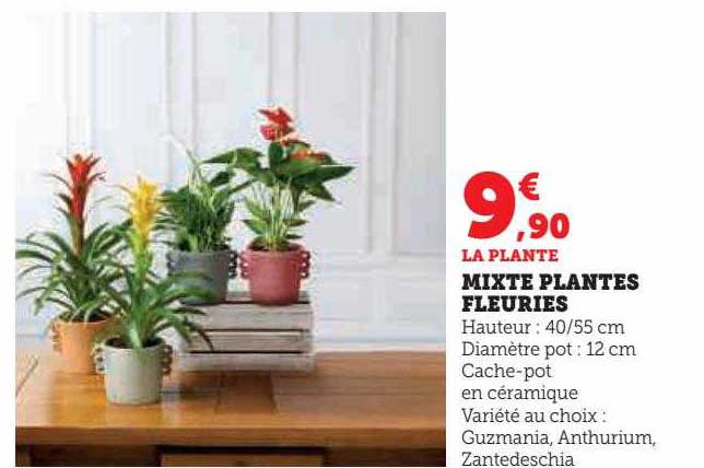 mixte plantes fleuries