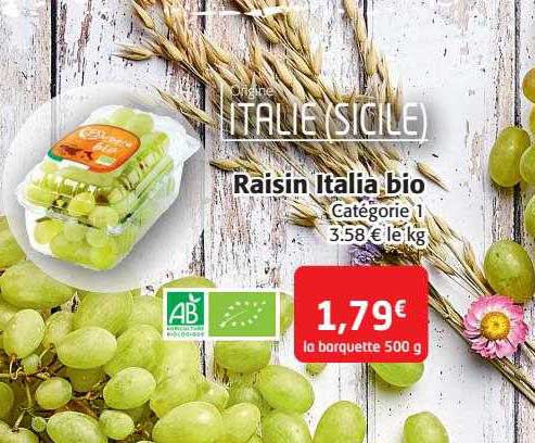 Raisin Italia Bio