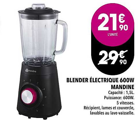 blender électrique 600w mandine
