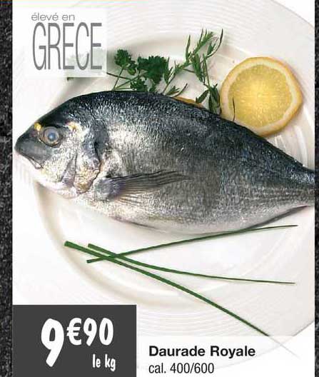 Daurade Royale