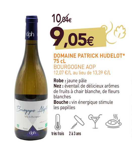 domaine patrick hudelot - bourgogne aop