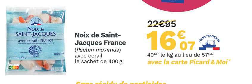 noix de saint-jacques france