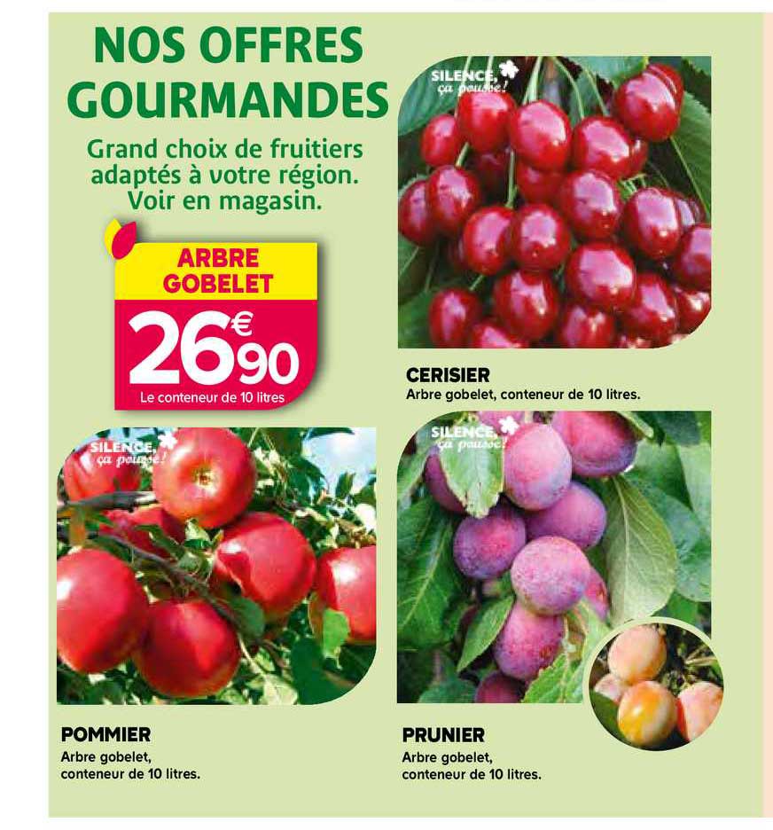 pommier, cerisier, prunier