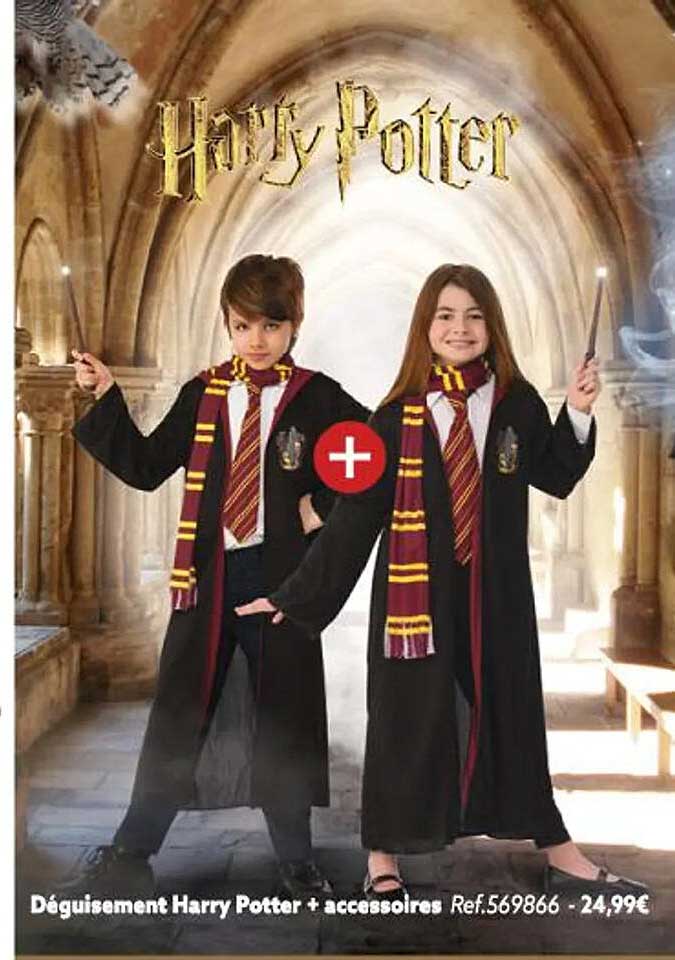 déguisement harry potter + accessoires