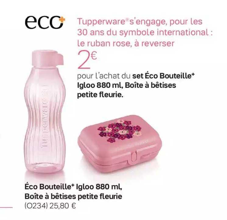 éco bouteille igloo 880ml, boîte à bêtises petite fleurie
