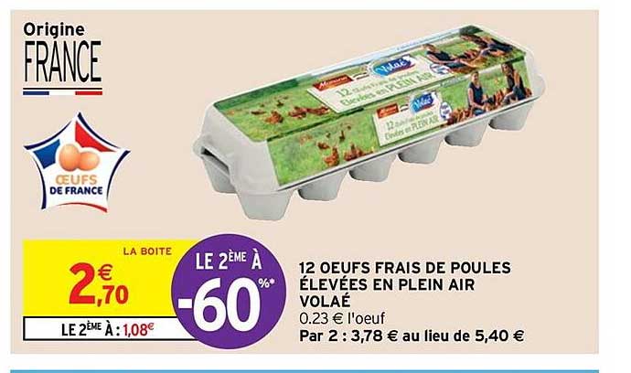 12 oeufs frais de poules élevées en plein air volaé