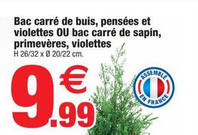 Bac Carré De Buis, Pensées Et Violettes Ou Bac Carré De Sapin, Primevères, Violettes