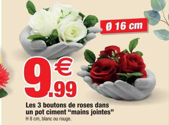 Les 3 Boutons De Roses Dans Un Pot Ciment "mains Jointes"
