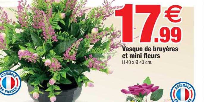 Vasque De Bruyères Et Mini Fleurs