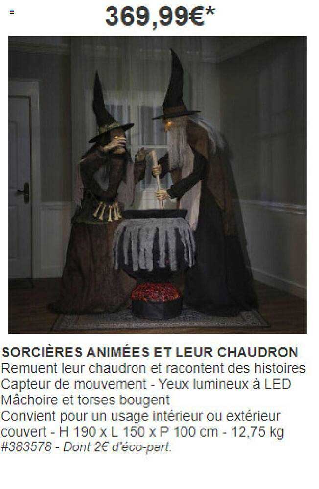 sorcières animées et leur chaudron
