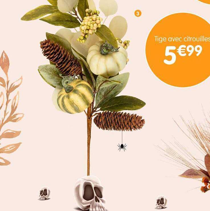 tige avec citrouilles