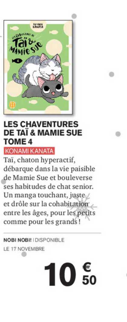 Les Chaventures De Taï & Mamie Sue Tome 4 Konami Kanata
