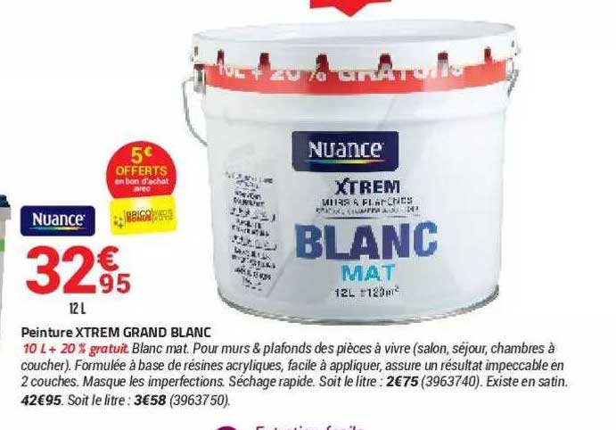Peinture Xtrem Grand Blanc