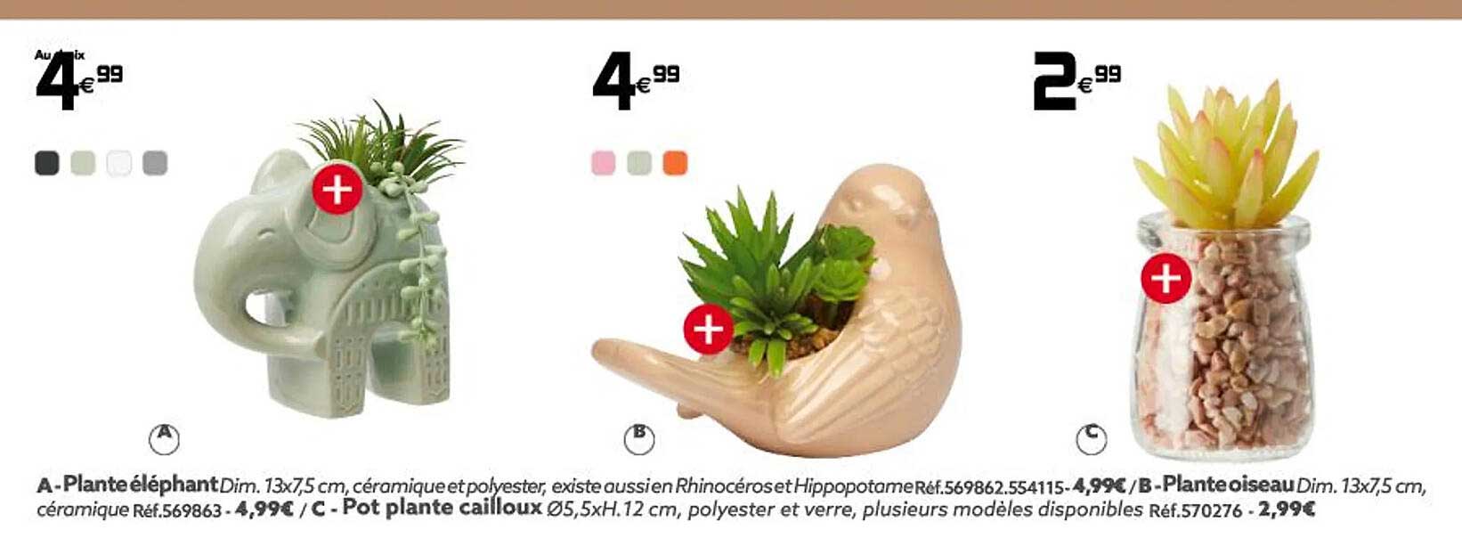 plante éléphant, plante oiseau, pot plante cailloux