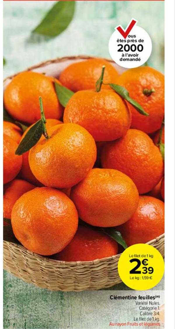 Clémentine Feuilles