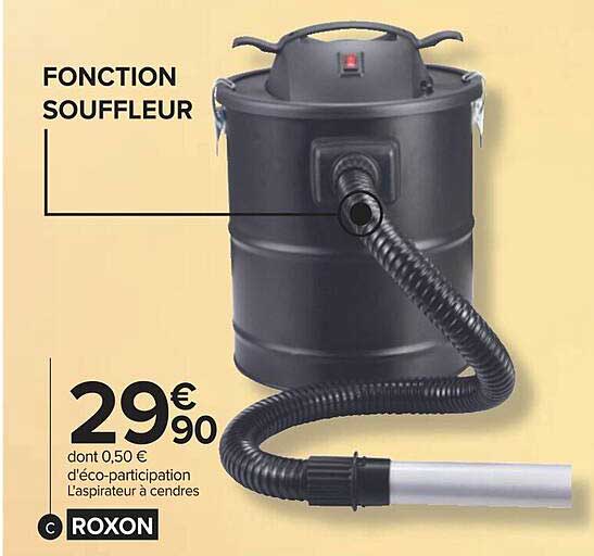 l'aspirateur à cendres roxon