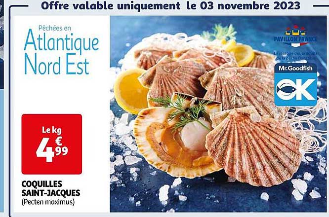 coquille saint-jacques