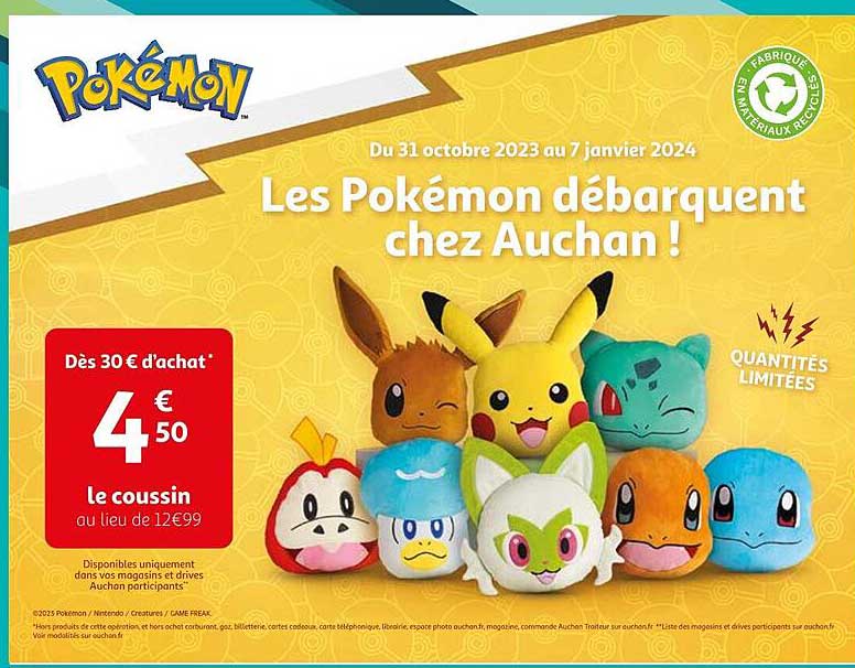 Le Coussin Pokémon