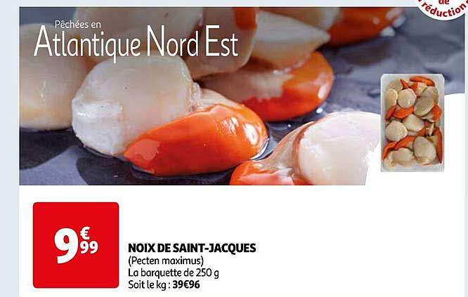 noix de saint-jacques