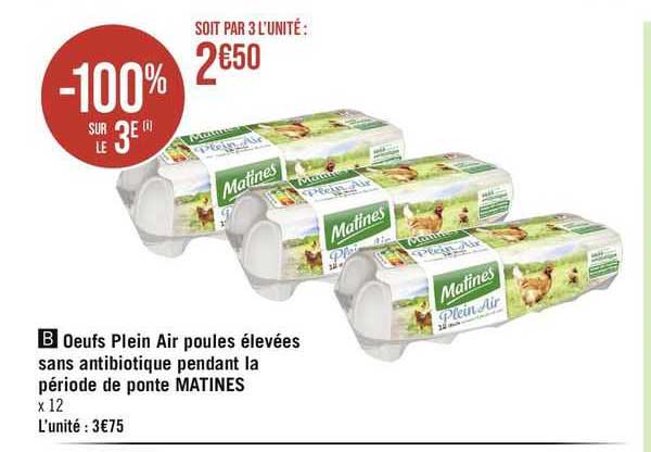 œufs plein air poules élevées sans antibiotique pendant la période de ponte matines