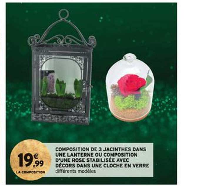 composition de 3 jacinthes dans une lanterne ou composition d'une rose stabilisée avec décors dans une cloche en verre