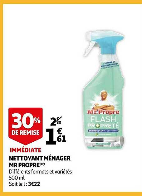nettoyant ménager mr propre