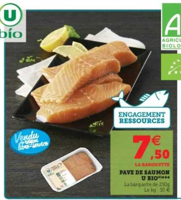 Pavé De Saumon U Bio