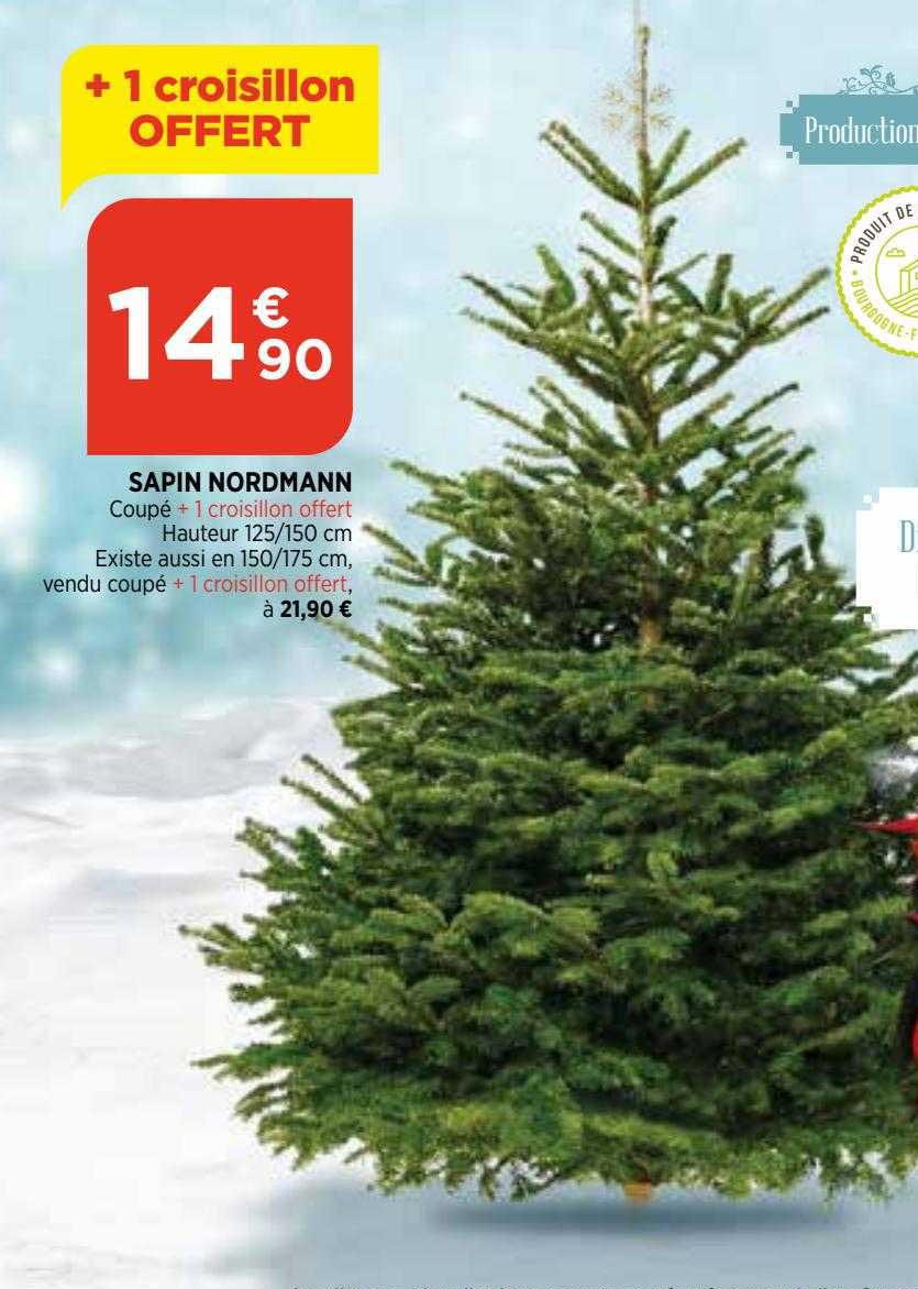 sapin nordmann