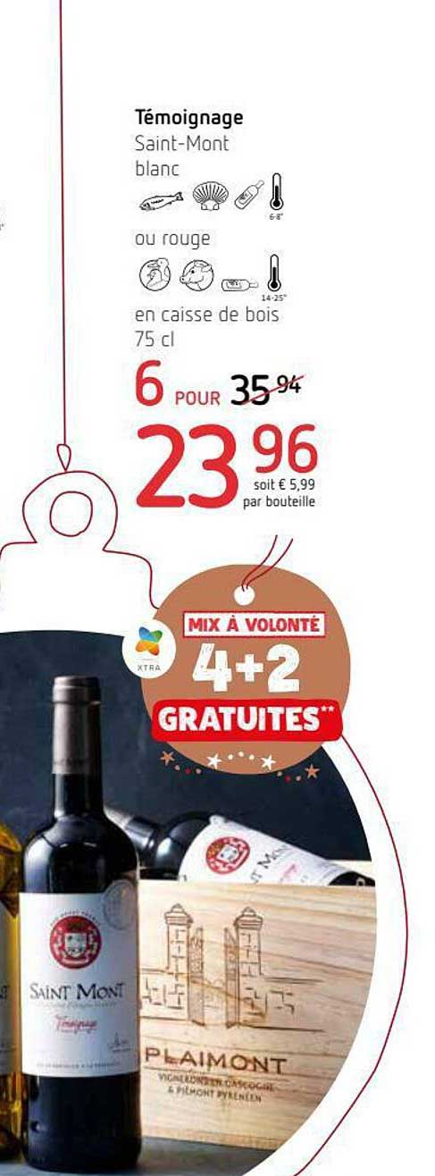 témoignage saint-mont blanc