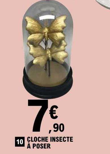 cloche insecte à poser