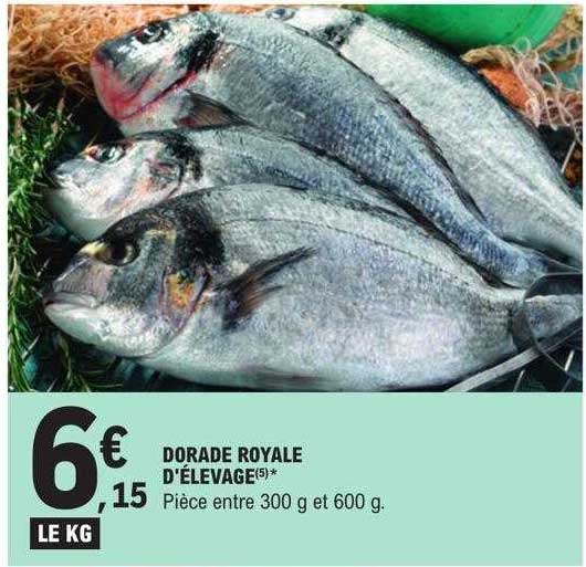 dorade royale d'élevage