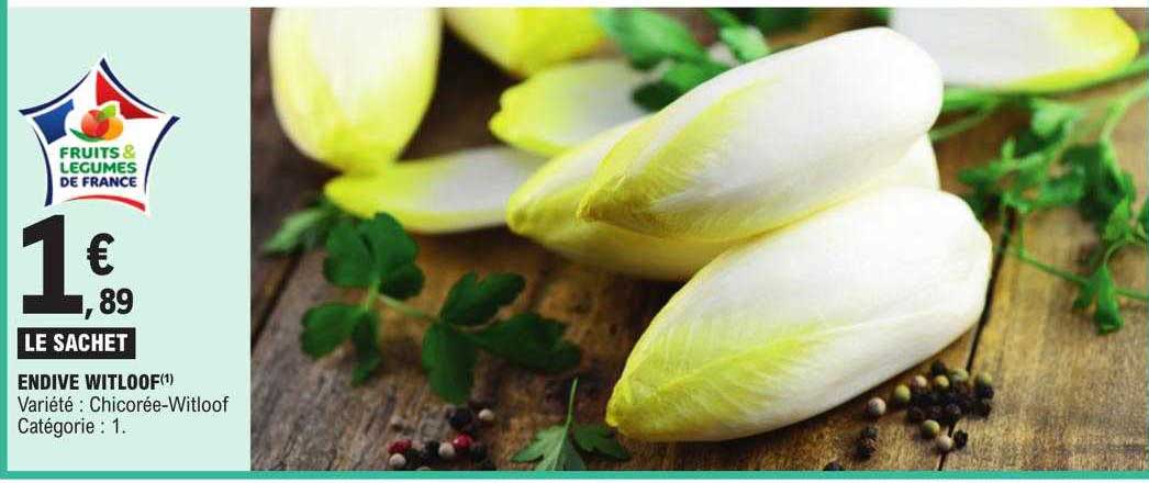 endive witloof